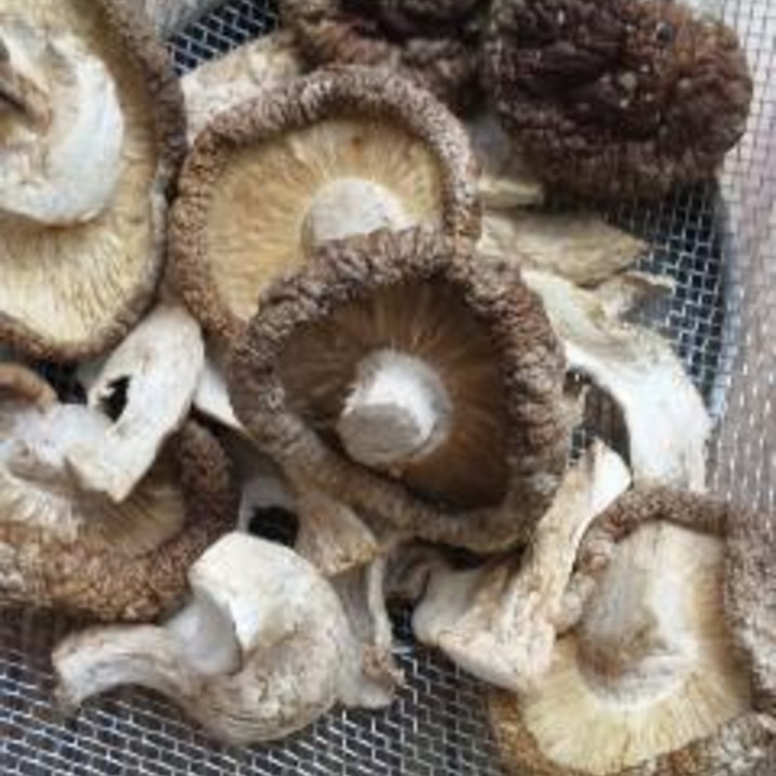 自家製 干し椎茸 レシピ 作り方 By Macco 楽天レシピ